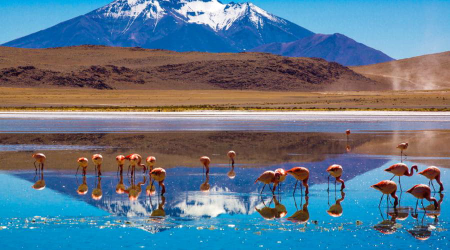 Top car rental deals in Uyuni